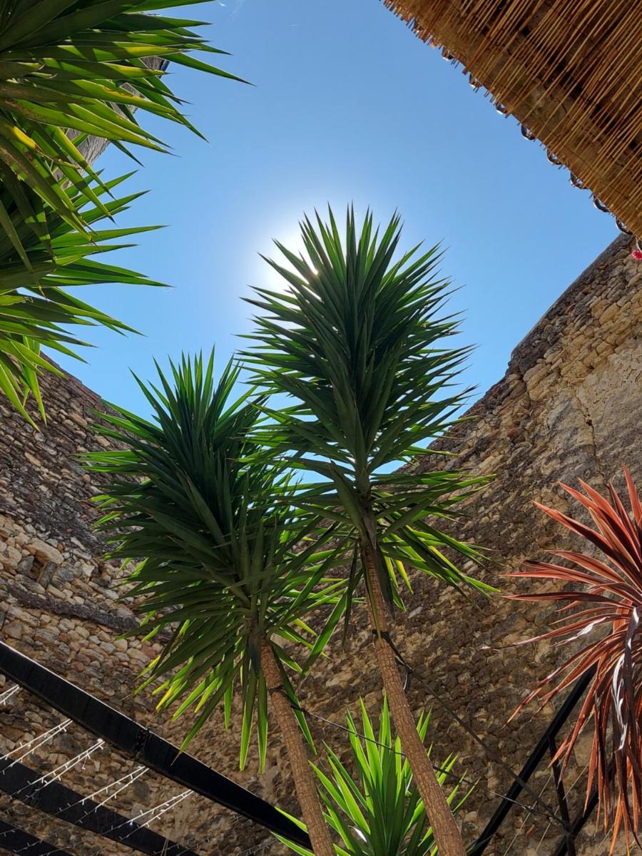 Chambre d'hôtes Gard - Housity