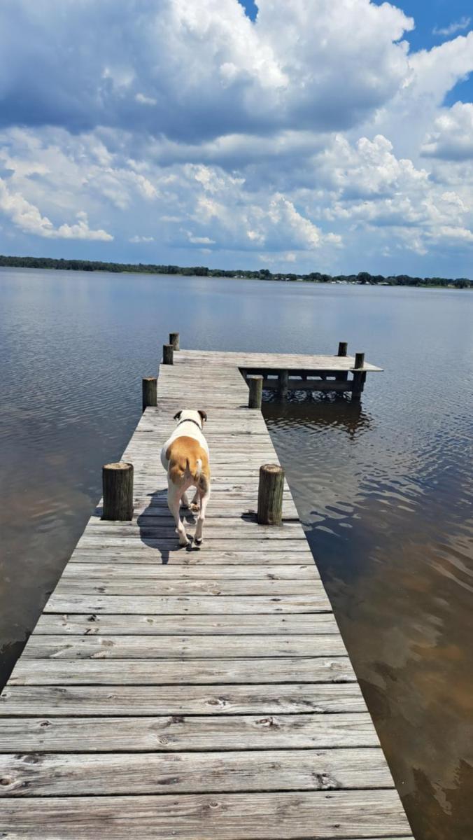 Peaceful 3 bedroom Lake Front Home on 1 acre - Housity