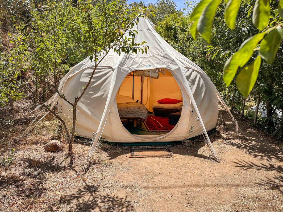 Glamping do Zê - Housity