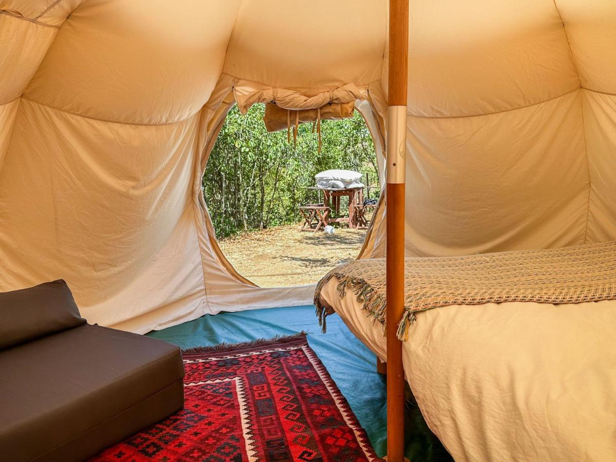 Glamping do Zê - Housity