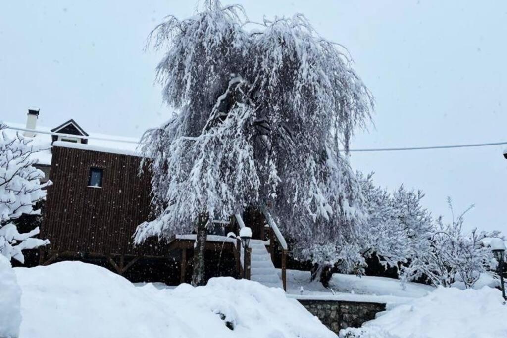 Cabane Jacomeli Genève - Housity