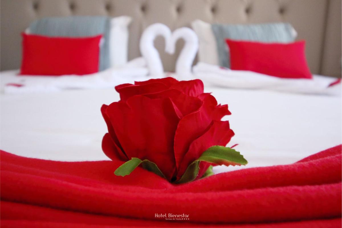Uma cama ou camas num quarto em Hotel Bienestar Termas De Vizela