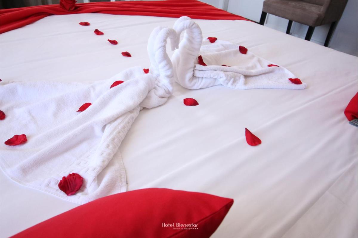 Uma cama ou camas num quarto em Hotel Bienestar Termas De Vizela