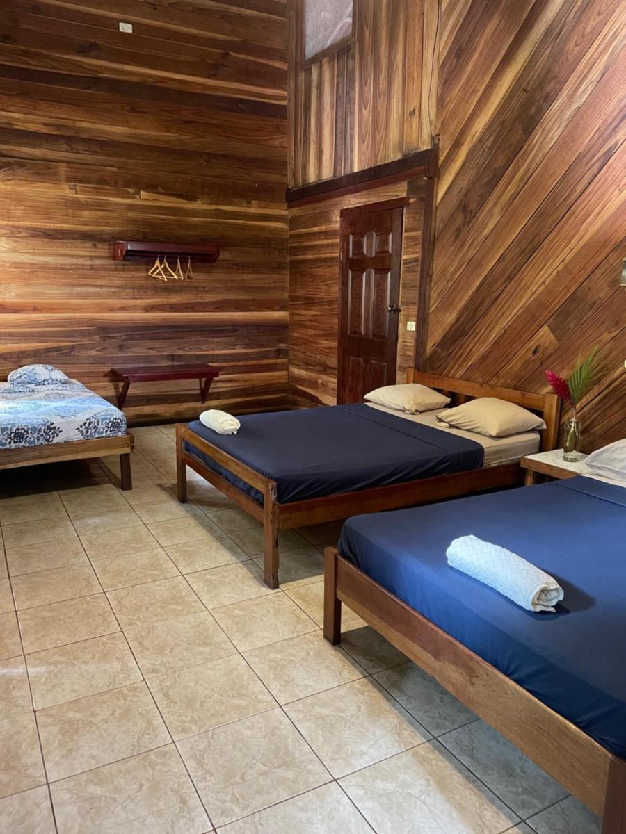 Perla Negra Beachfront - Housity