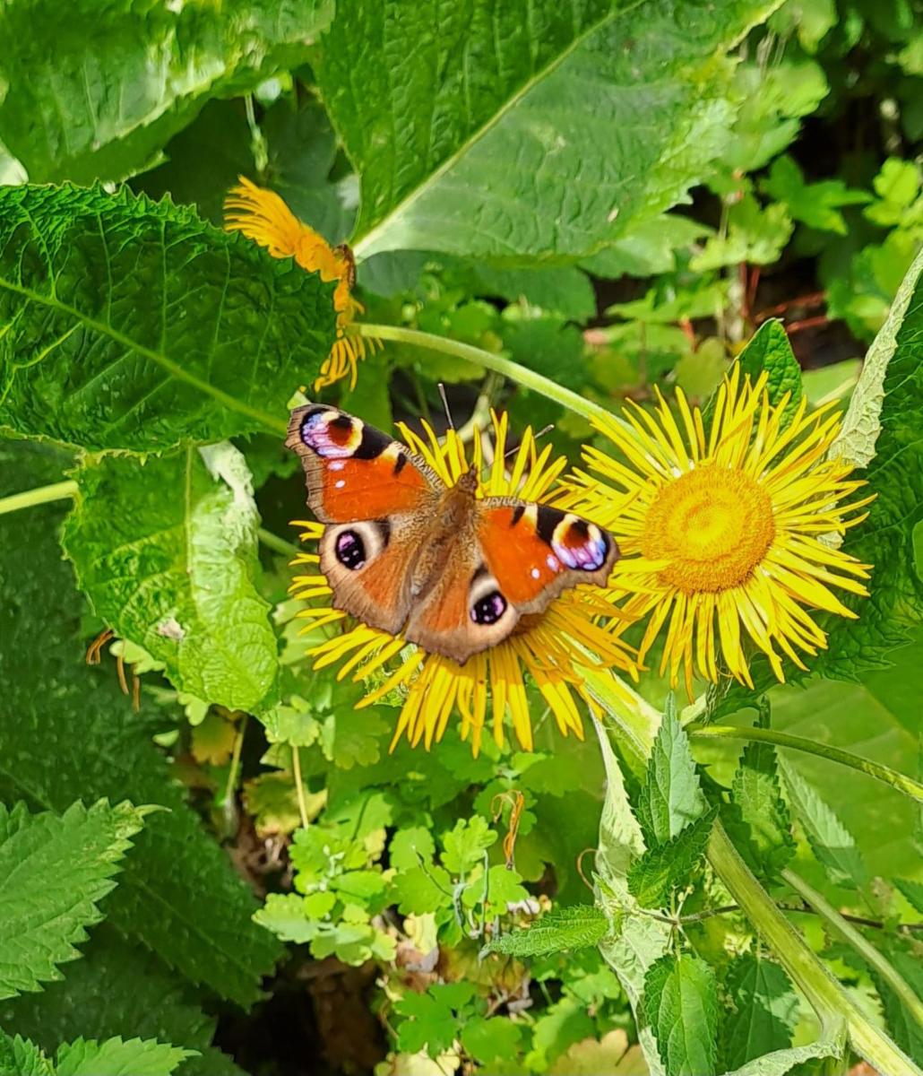 Oase in Mitten der Stadt - Housity