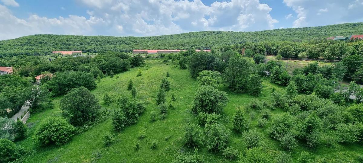 Suitetrails - Cozy Apartment in Kechi House Tsaghkadzor