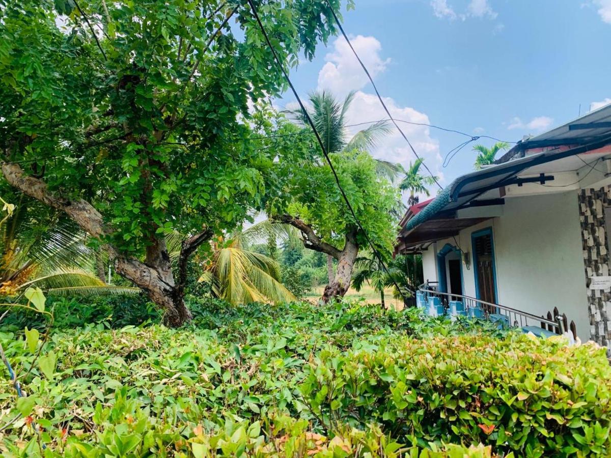 Gal Oya Lake View Inginiyagala - Housity