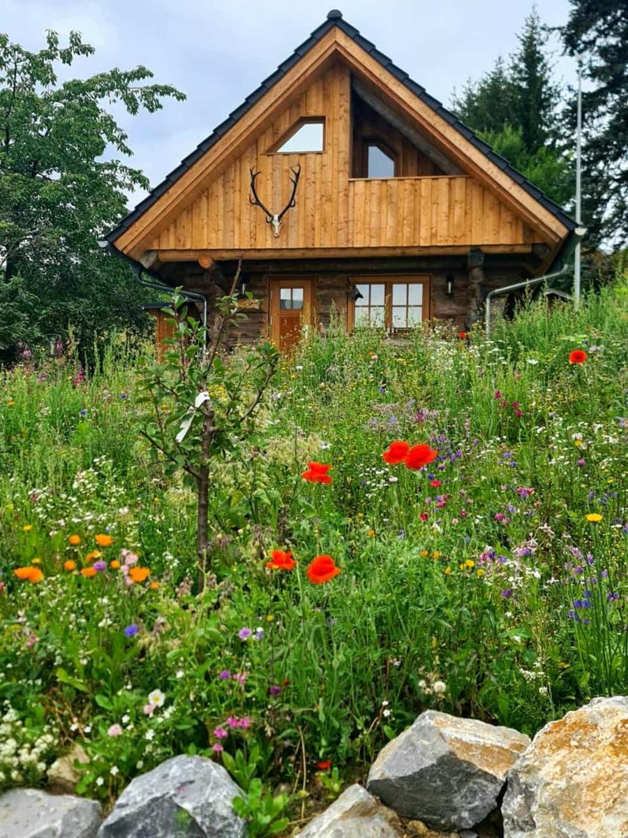Blockhaus PanHütte - Housity