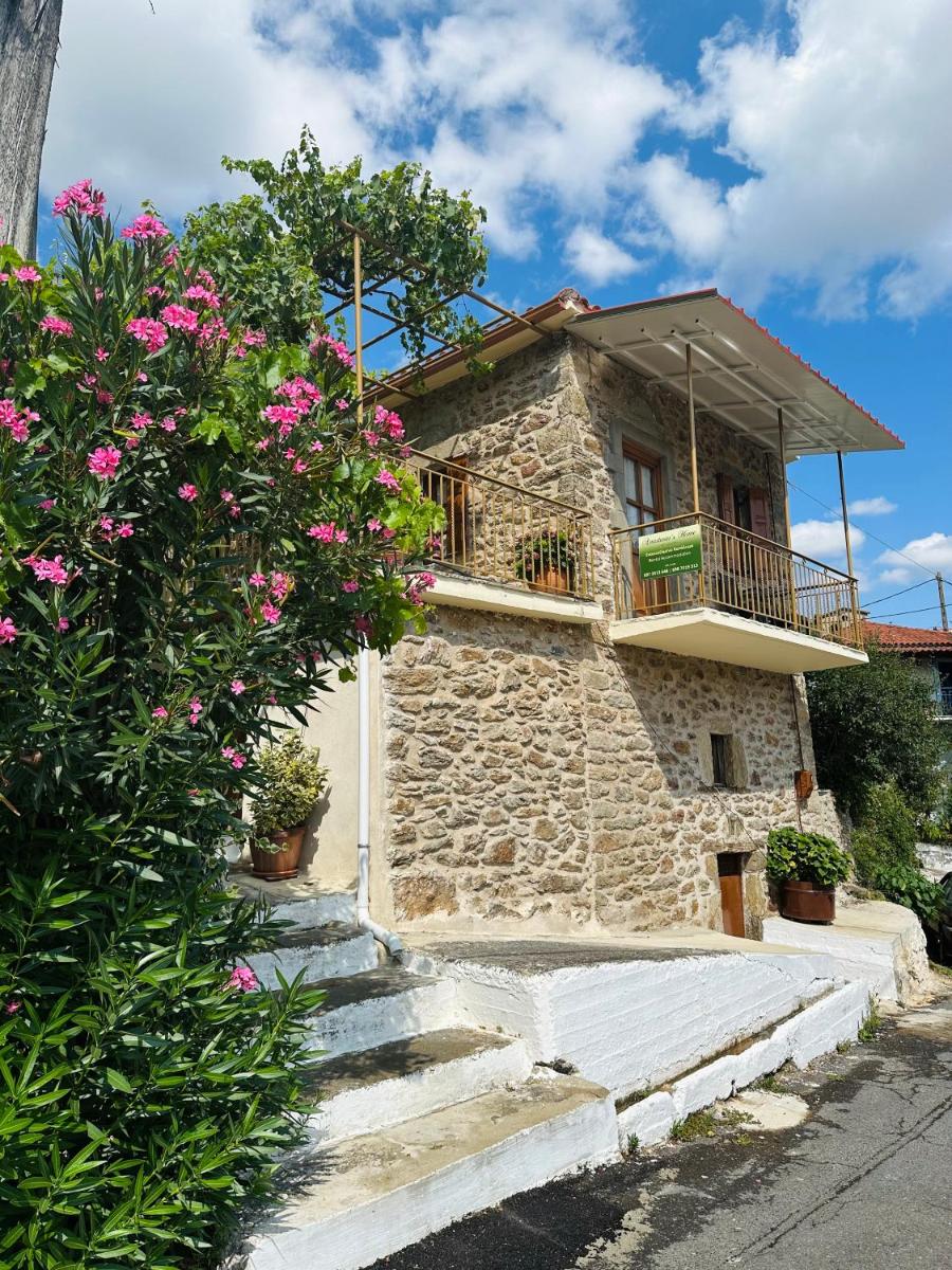 Anastasia’s Home - Housity