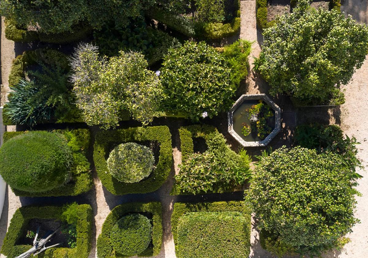 Um jardim no exterior de Octant Lousa