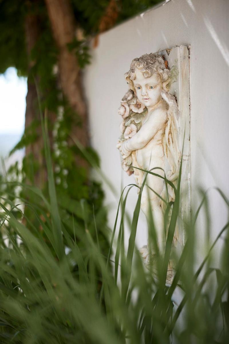 Um jardim no exterior de Octant Lousa