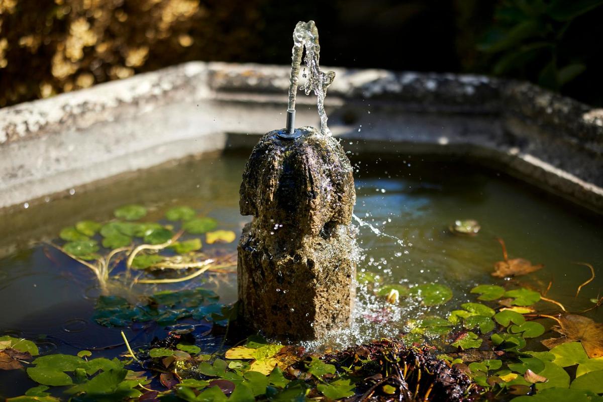 Um jardim no exterior de Octant Lousa
