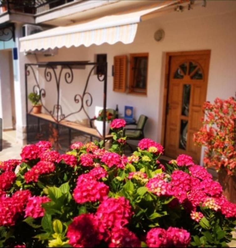 Apartmani Rita Studio - Housity