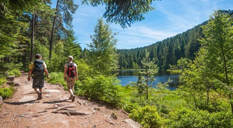 Frankenberg-am-Wald Frankenberg an der Eder - Housity