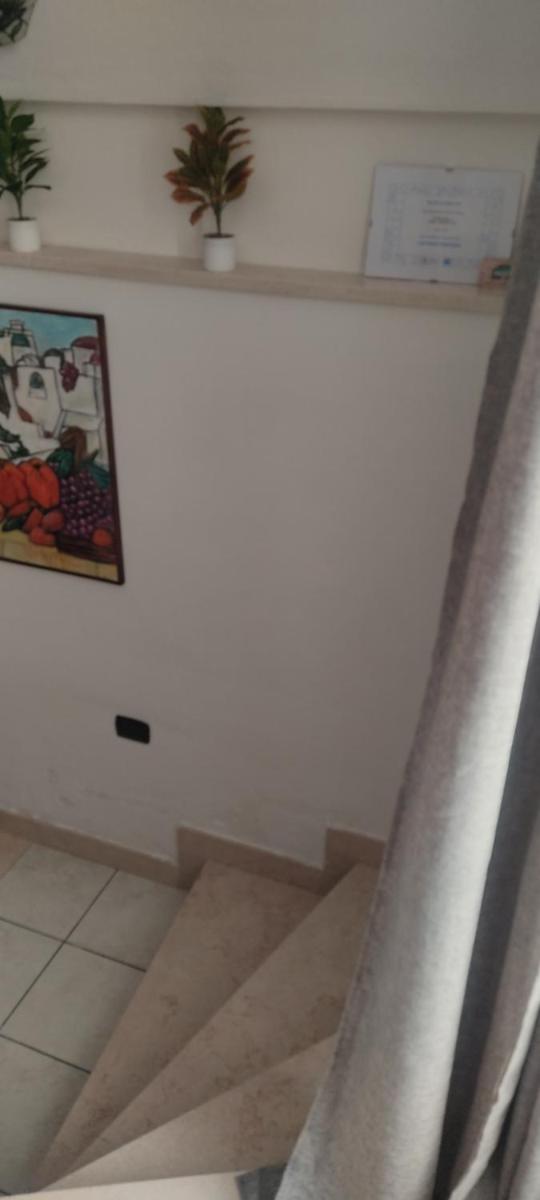 studio holidays flat - Housity
