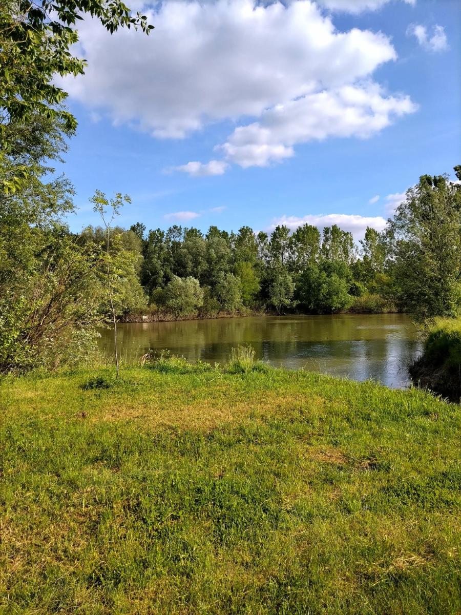 Tamiški mir Orlovat - Housity