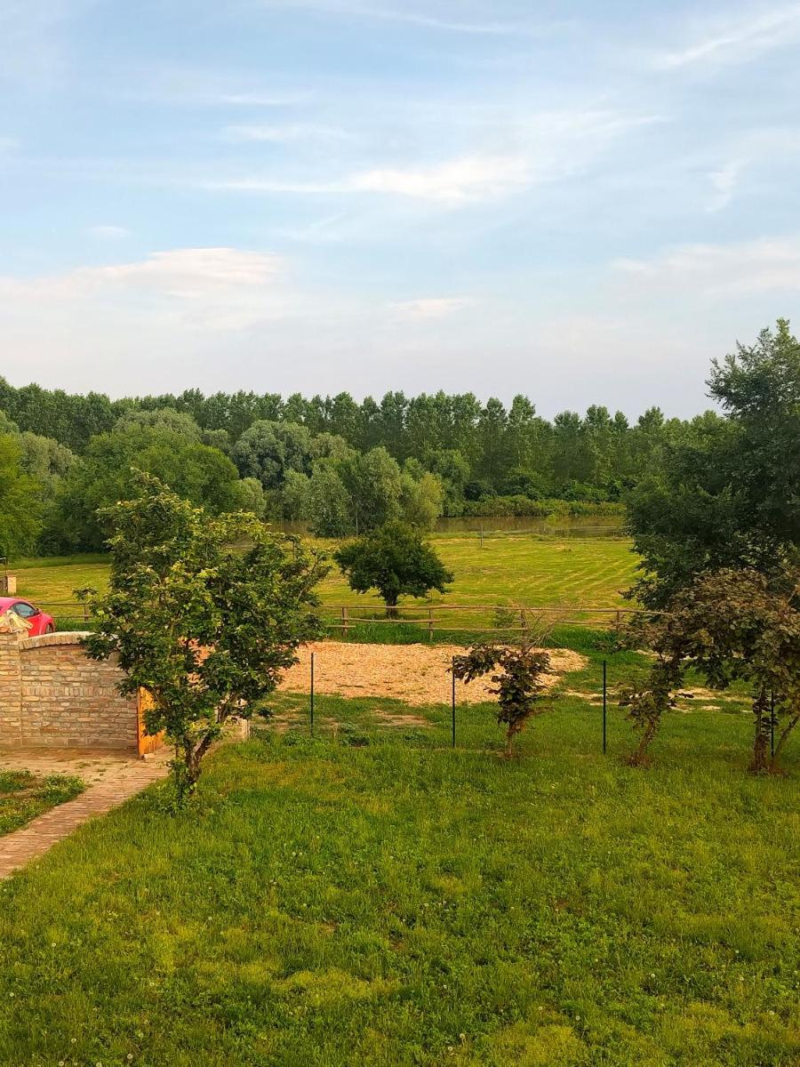 Tamiški mir Orlovat - Housity