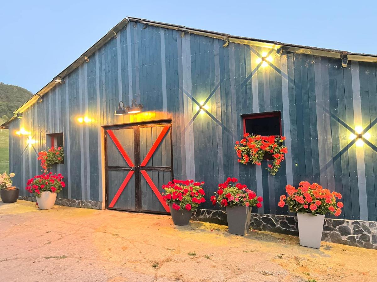 Horses & Style - Housity