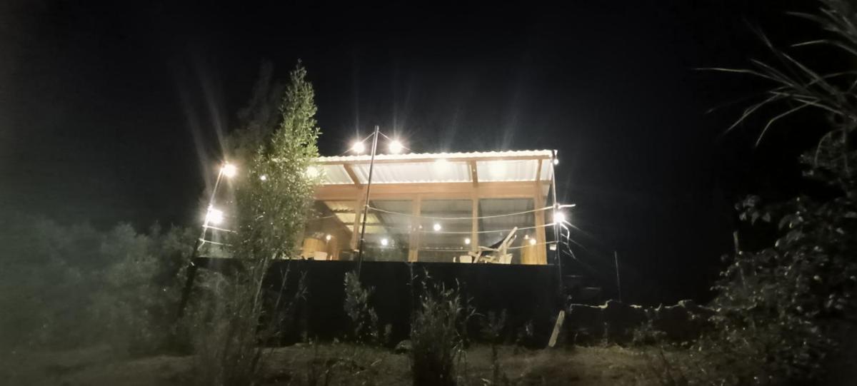 Glampwild Zaquencipa - Housity