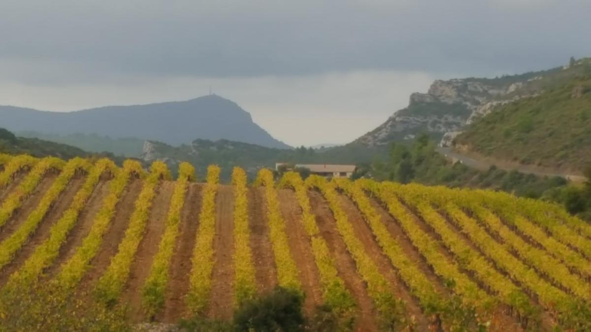 Gîte dans ancienne bergerie en pleine garrigue - Housity