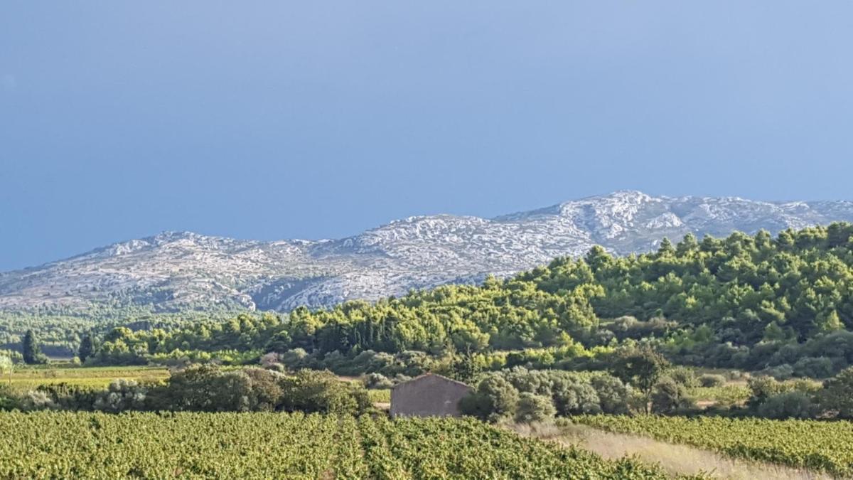 Gîte dans ancienne bergerie en pleine garrigue - Housity