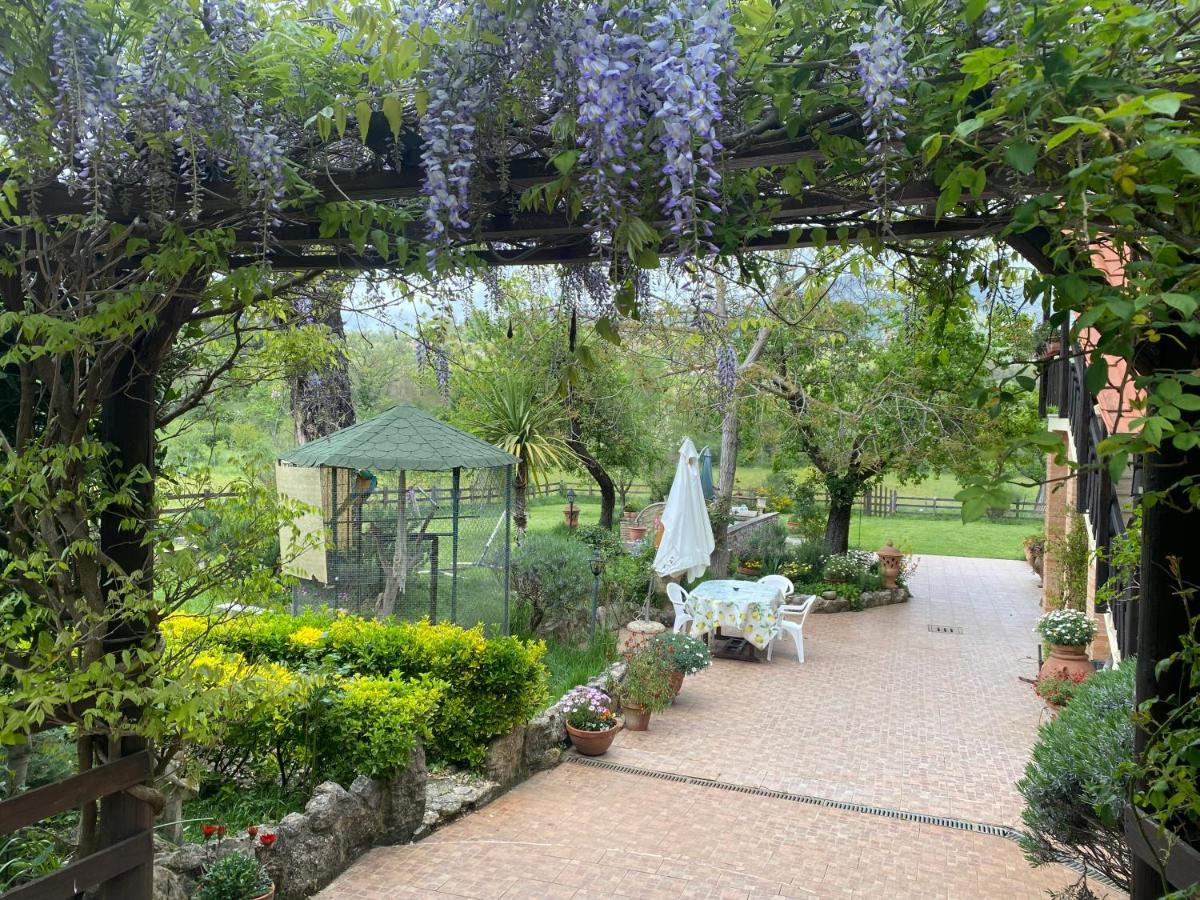Casale delle ginestre. - Housity