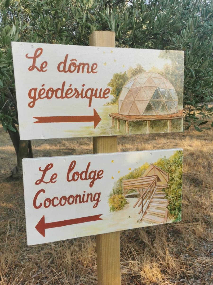 Le dôme géodésique - Housity