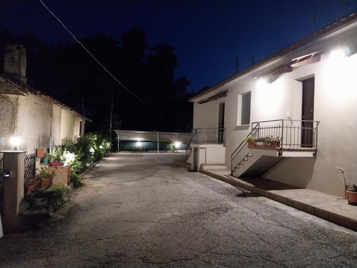 Affittacamere Dolce Miele - Hizvo