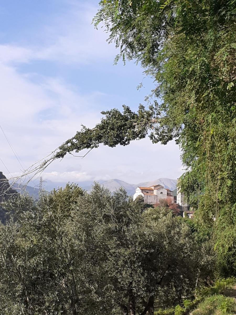 La locanda di nonna Jolanda - Housity