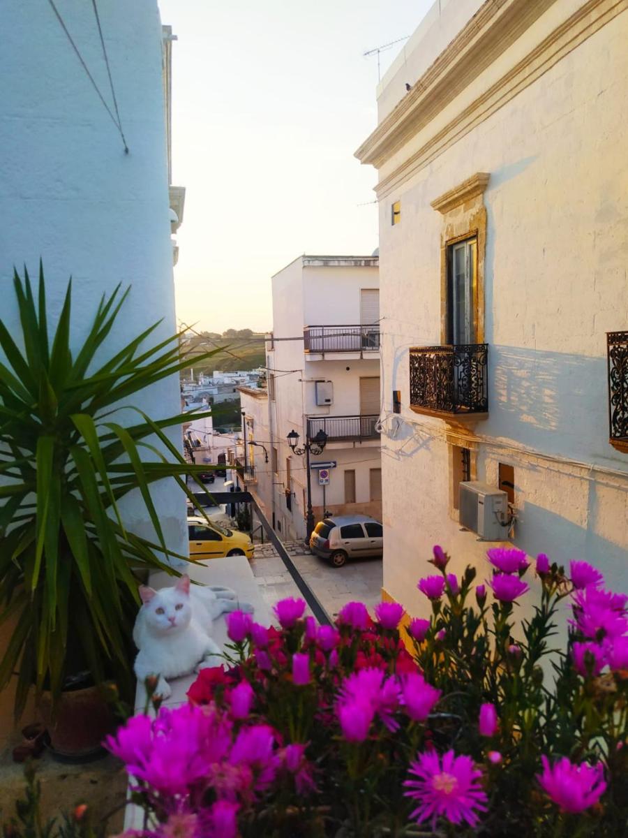 B&B Corte Fiorita - Housity