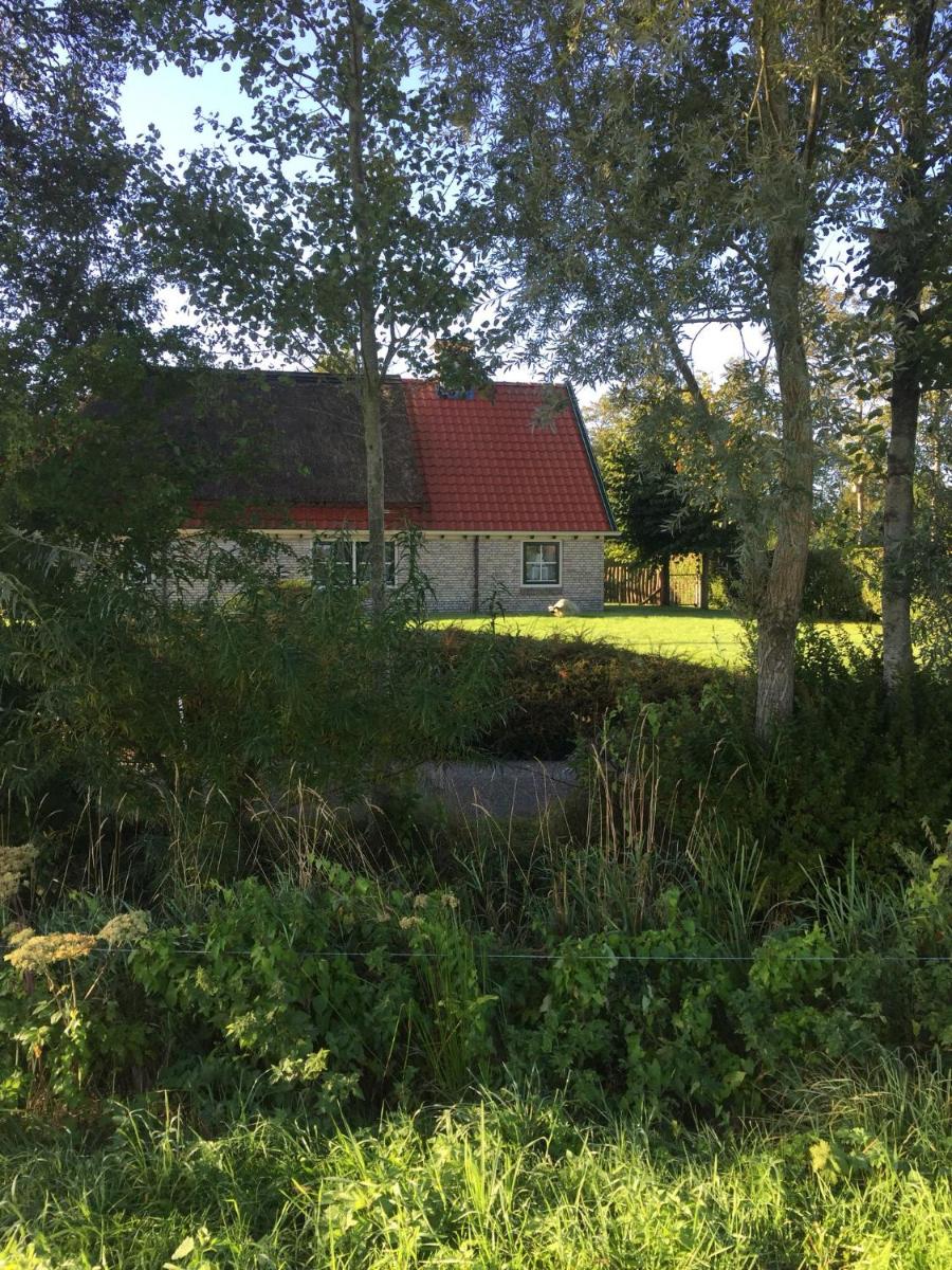 B&B Út en thús - Housity