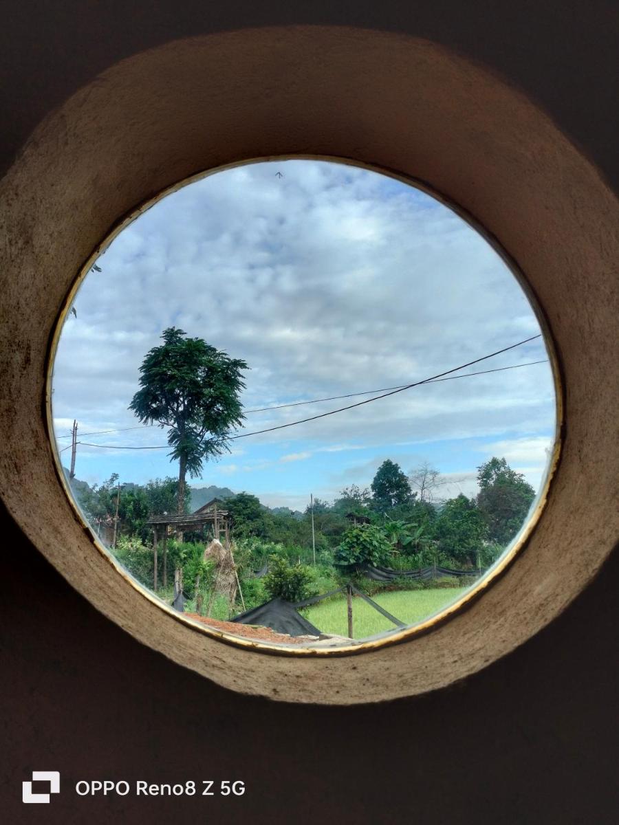 Bòng Homestay - Housity