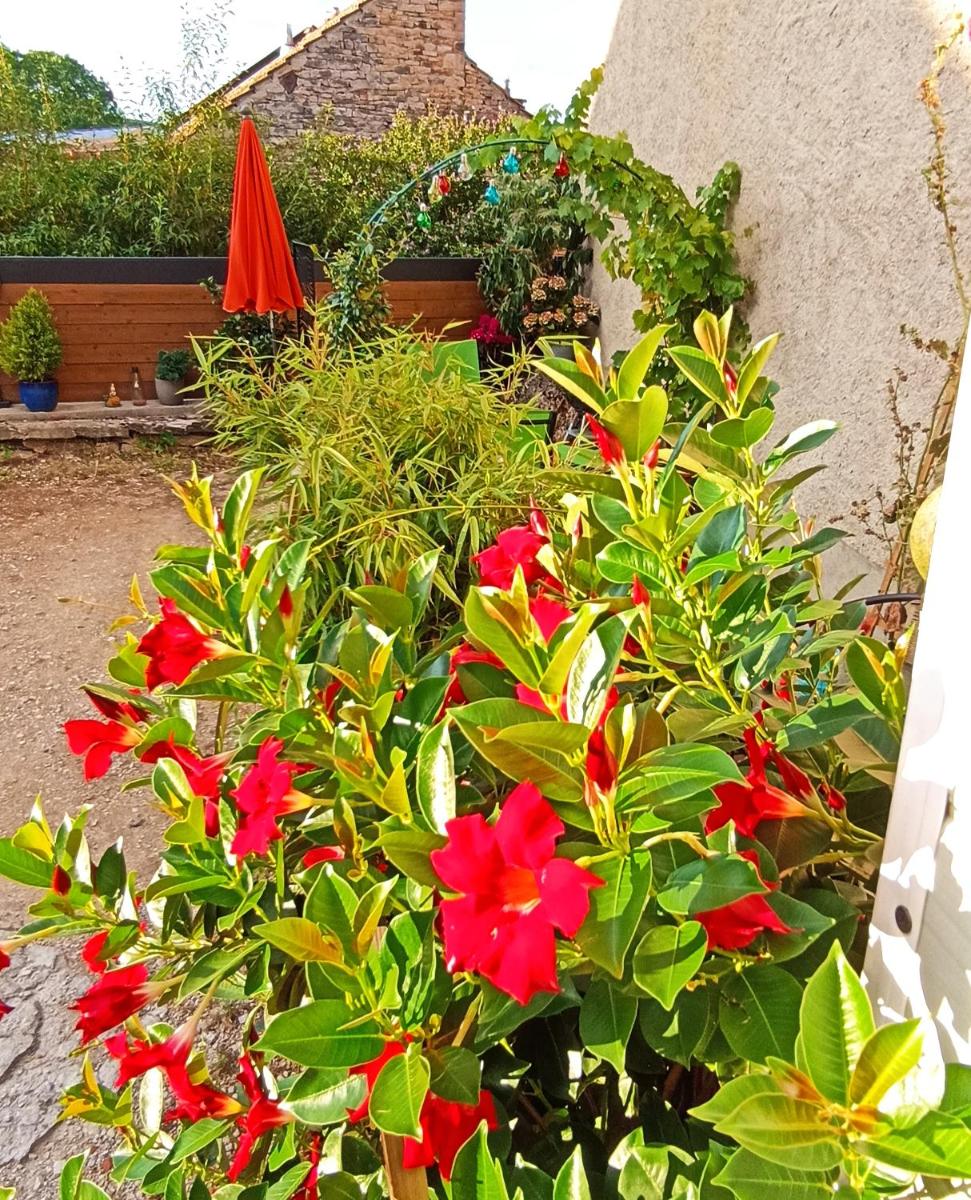 Gîte Le 16, Sous Les Trémières - Housity