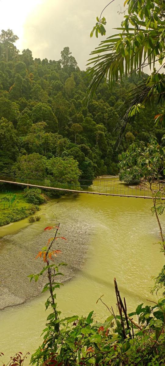 Green Lodge Tangkahan - Housity