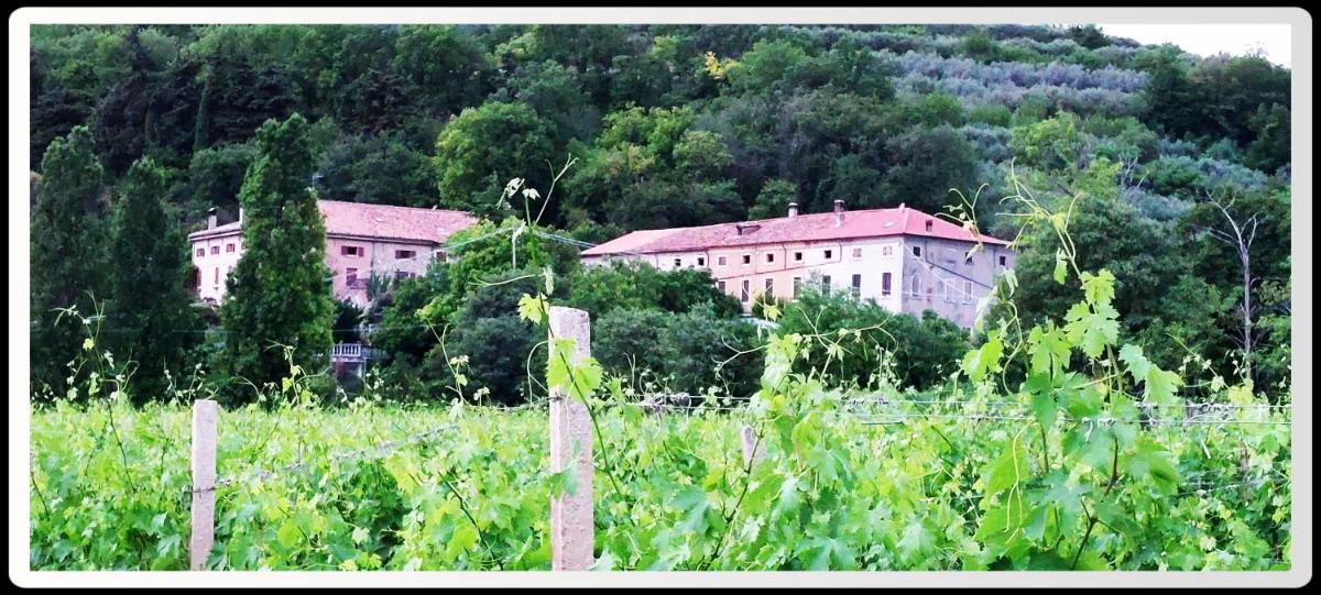 Agriturismo Andreis Alloggi - Housity