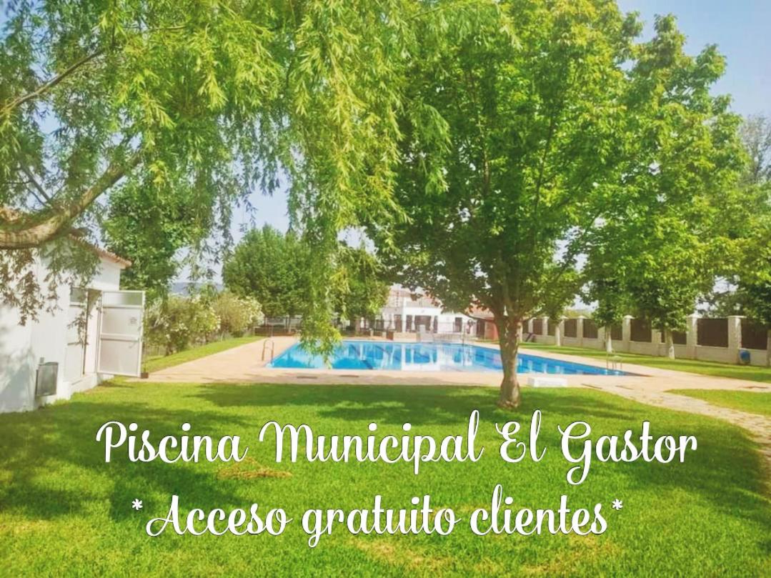 La Madroñala - Housity