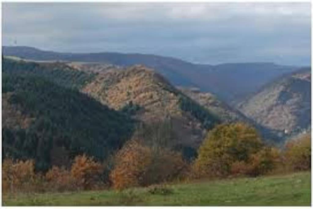 Champeix, maison confort 6 personnes - Housity