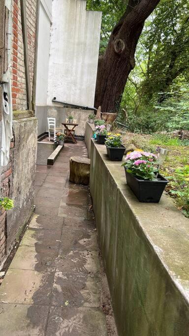 Historische Wohnung am Jenischpark - Housity