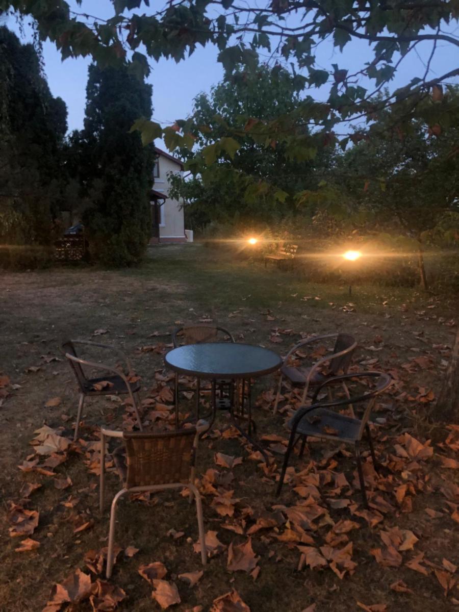 Argeselu Garden Villa - entire floor apartment, exclusive garden access - Housity