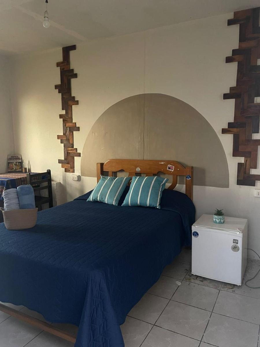 Totora Surf Hostel - Housity