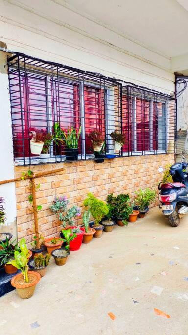 DIVINE HOMESTAY & GUESTHOUSE - Hizvo