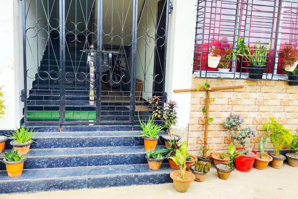 DIVINE HOMESTAY & GUESTHOUSE - Hizvo
