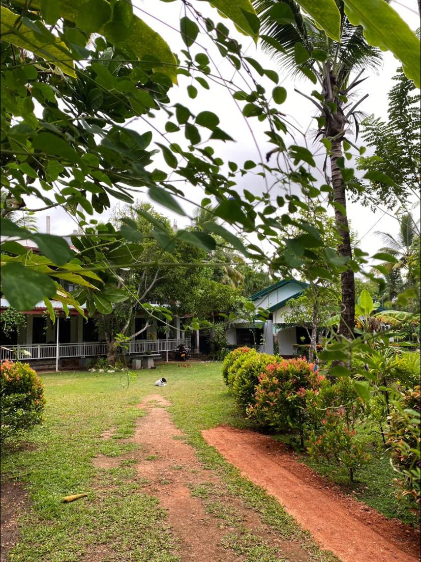 Coconut Grove - Midigama - Housity