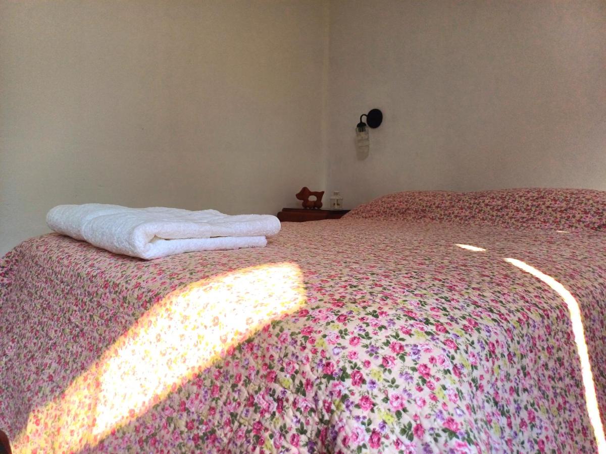 El Cacaotal Finca Faura - Housity