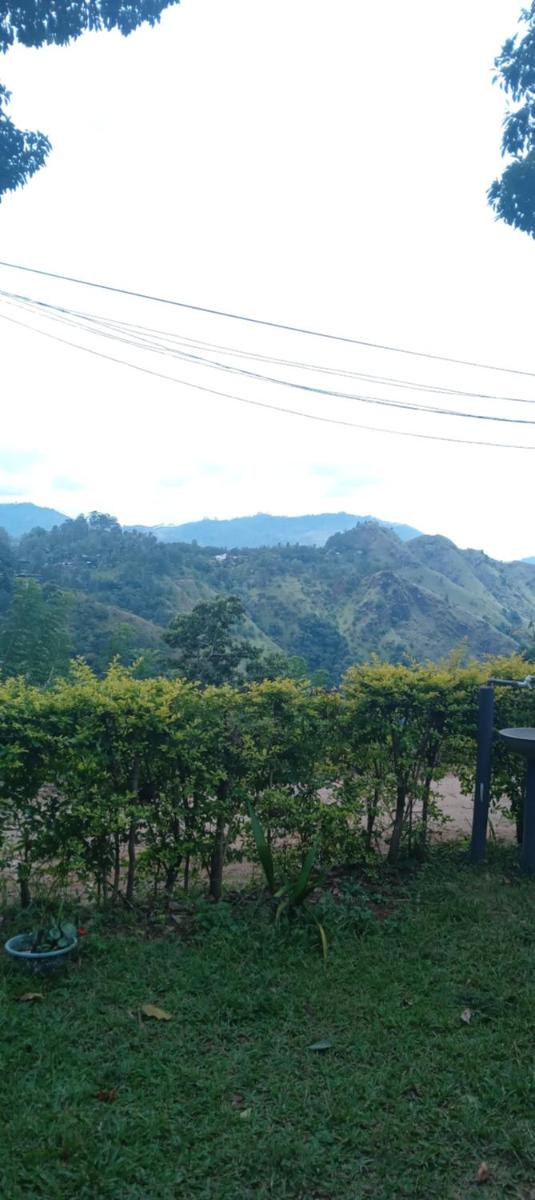 Ella Infinity View - Housity