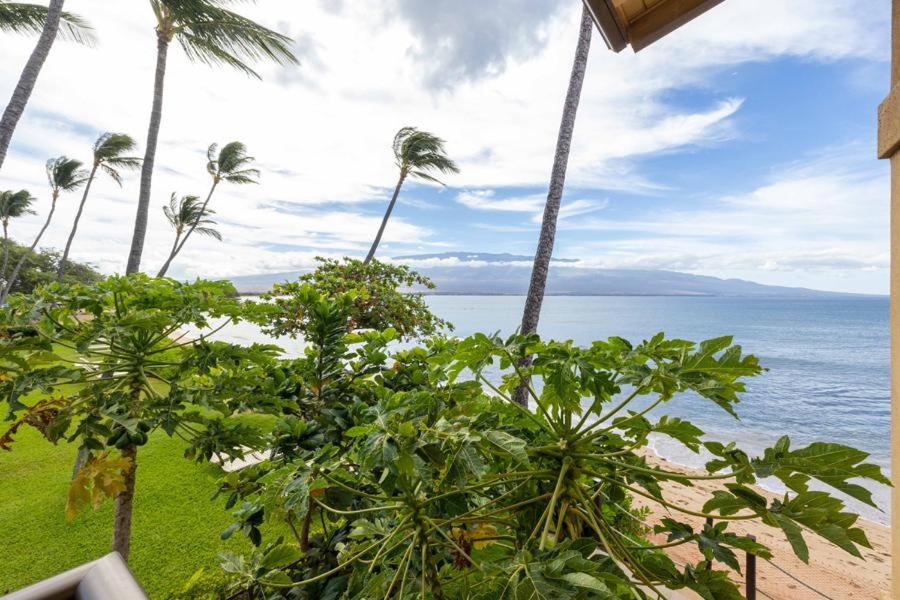 Hono Kai Resort B4 - Housity