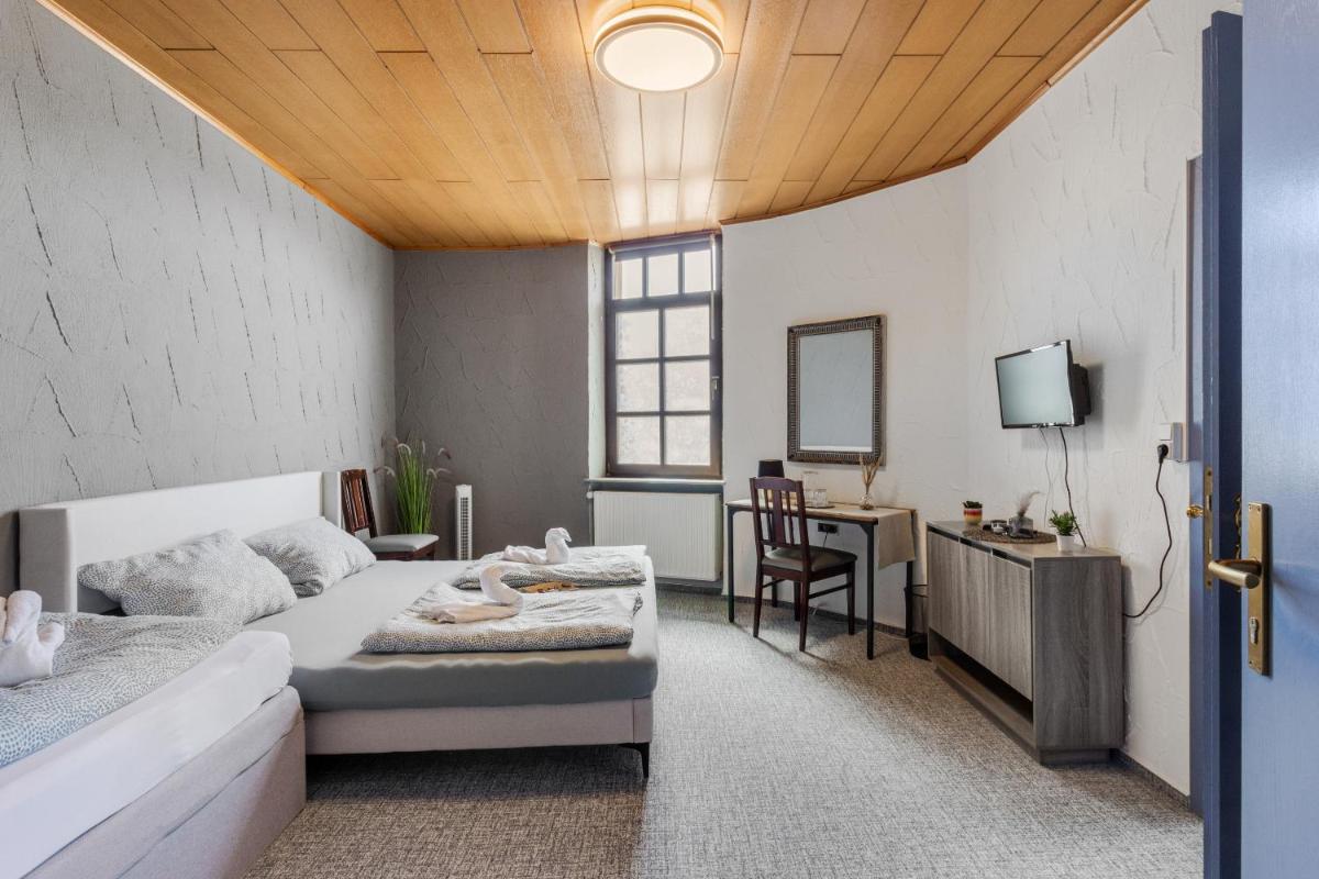 ein Schlafzimmer mit einem Bett, einem Schreibtisch und einem Fernseher in der Unterkunft Family and Friends Hassloch in Haßloch