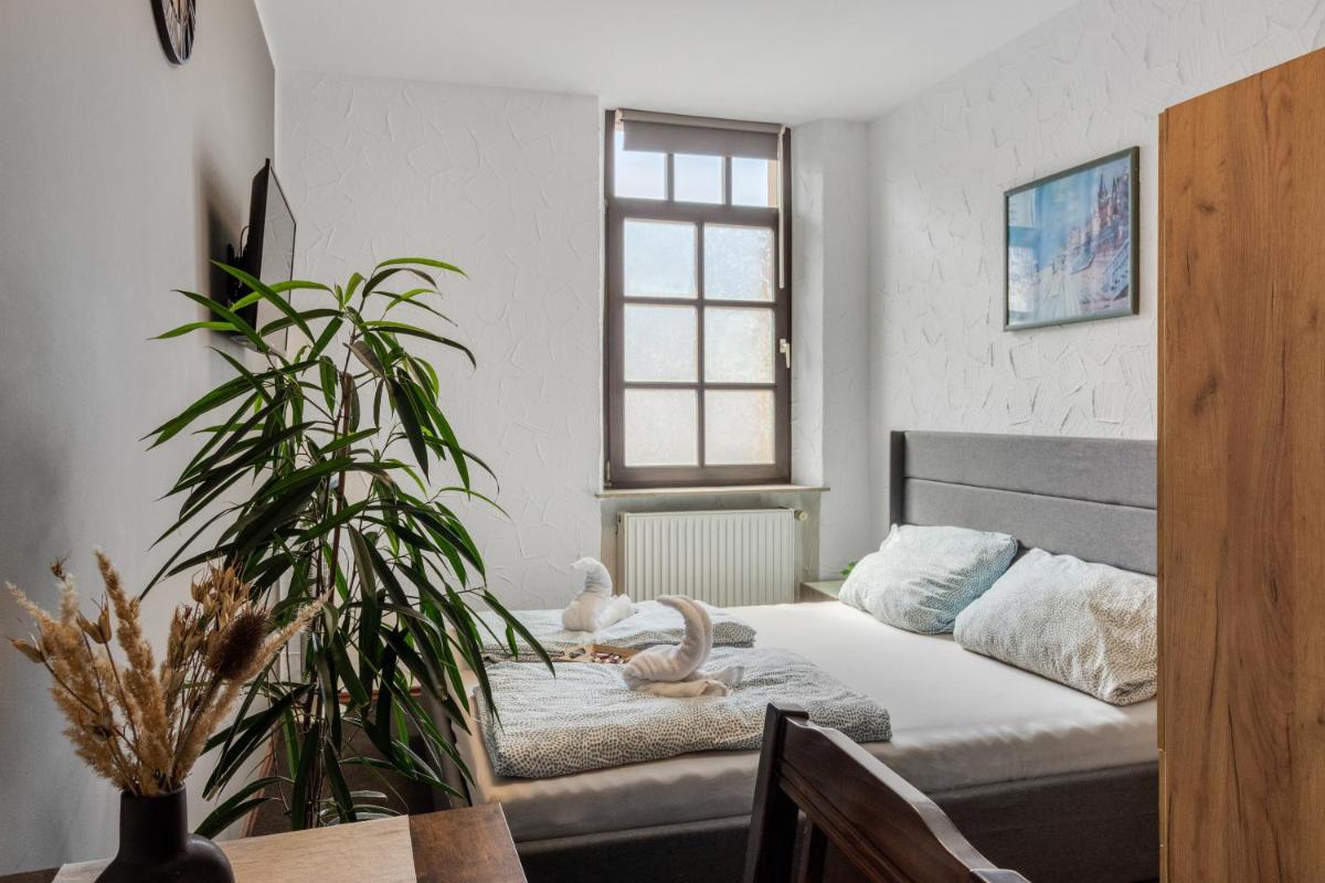 ein Schlafzimmer mit einem Bett mit einer Pflanze und einem Fenster in der Unterkunft Family and Friends Hassloch in Haßloch + 10 Fotos