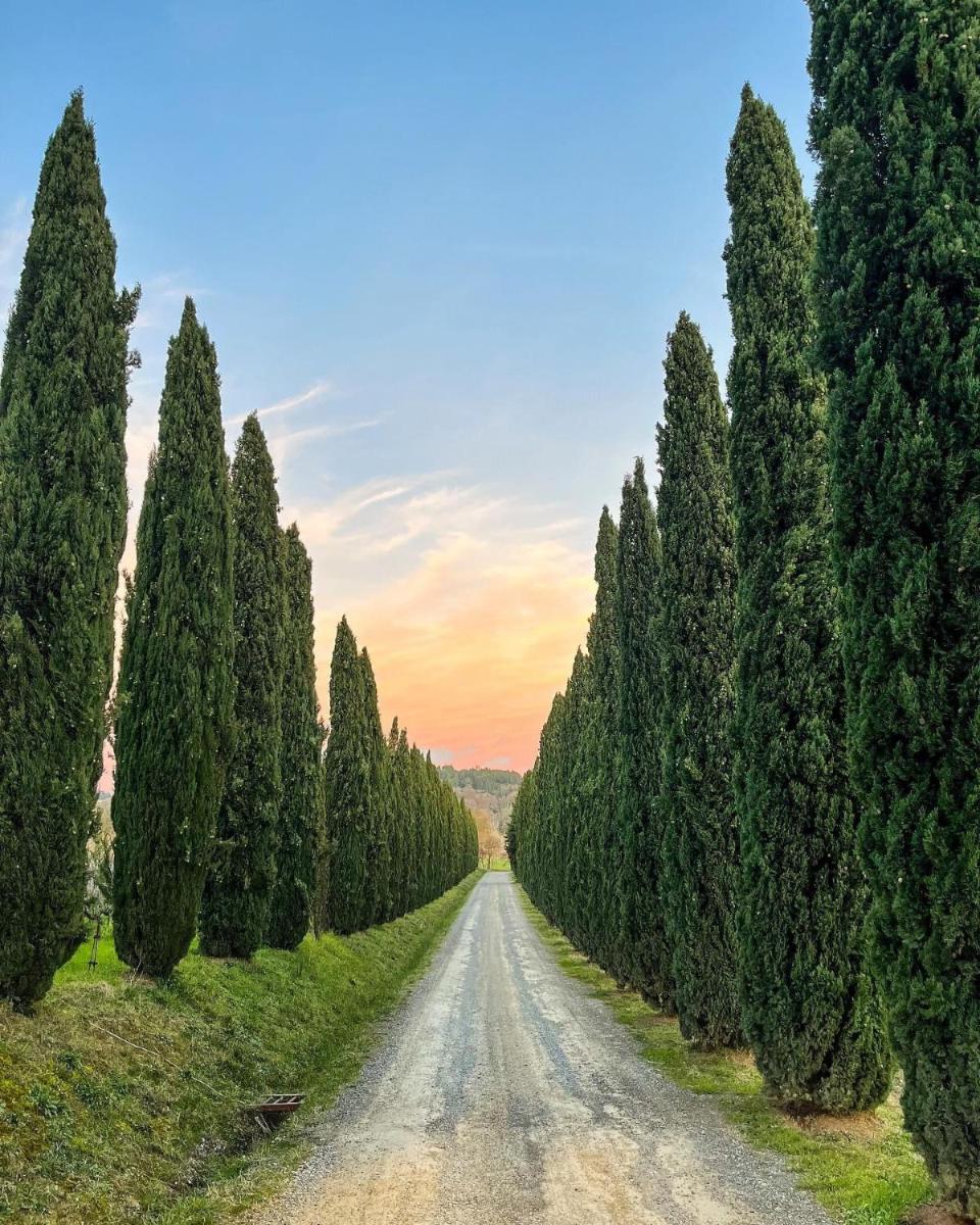 Fattoria Fibbiano - Housity