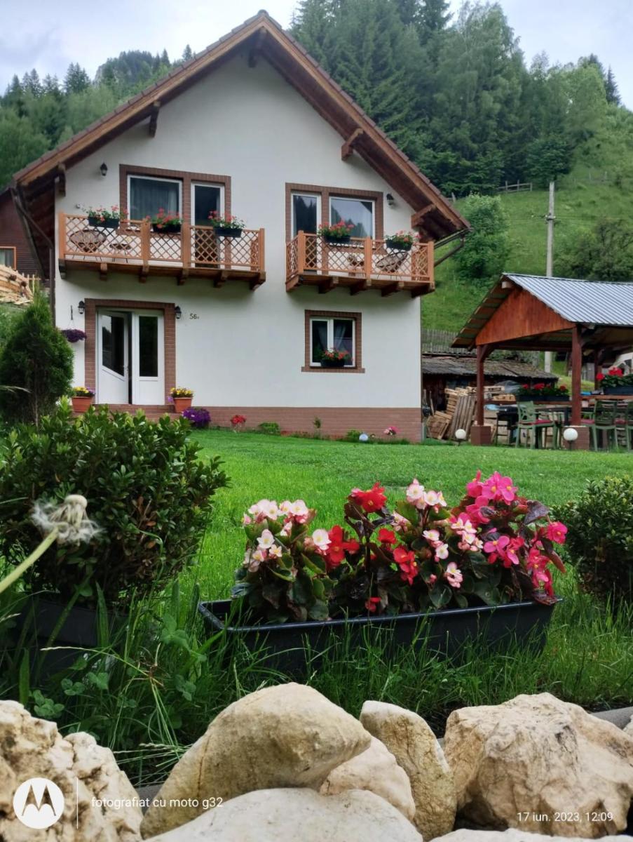 Căsuța lui Matei - Housity